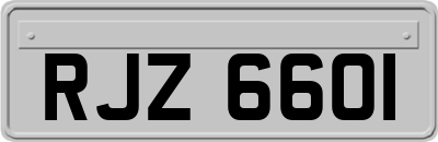 RJZ6601