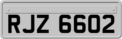 RJZ6602