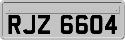 RJZ6604