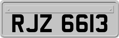 RJZ6613