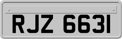 RJZ6631