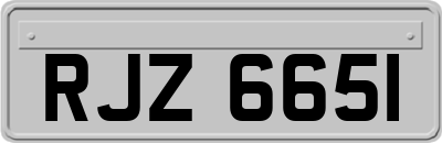 RJZ6651