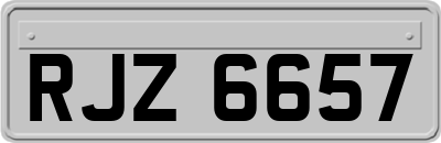 RJZ6657