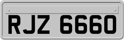 RJZ6660