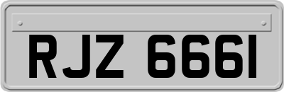 RJZ6661