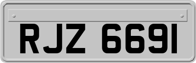 RJZ6691