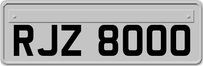 RJZ8000