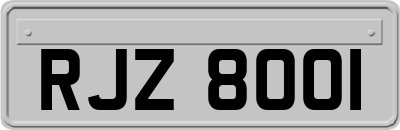 RJZ8001