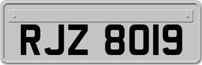 RJZ8019