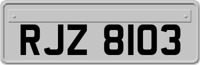 RJZ8103