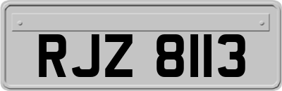 RJZ8113