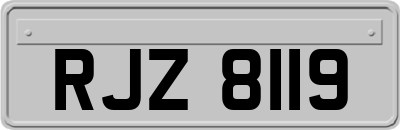 RJZ8119