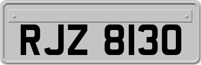 RJZ8130