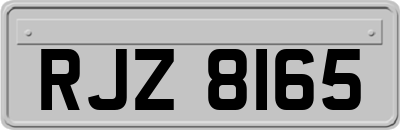 RJZ8165