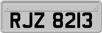 RJZ8213