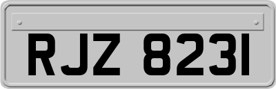 RJZ8231