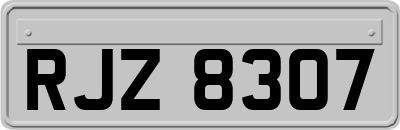 RJZ8307