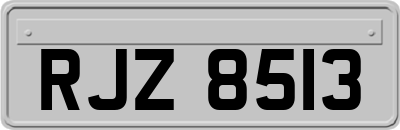 RJZ8513