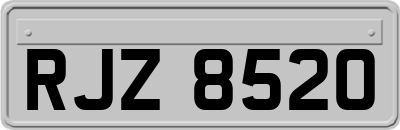 RJZ8520