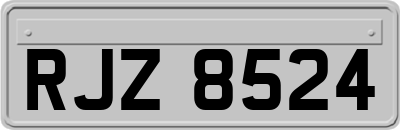 RJZ8524