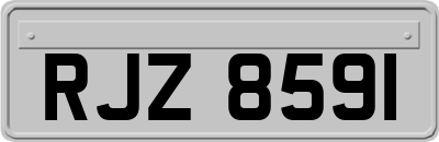 RJZ8591