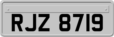 RJZ8719