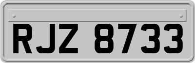 RJZ8733