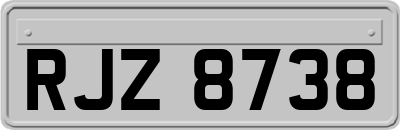 RJZ8738