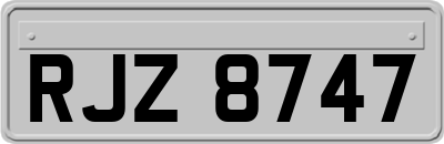 RJZ8747