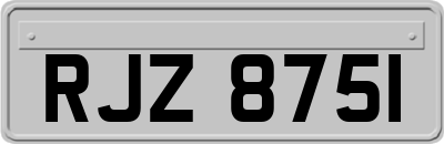 RJZ8751