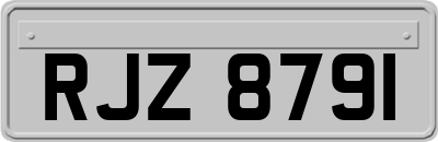 RJZ8791