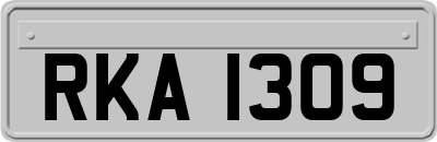 RKA1309