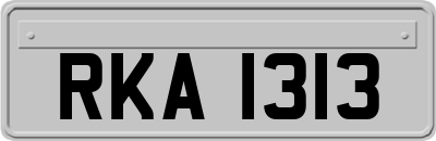 RKA1313