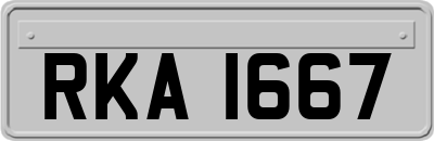 RKA1667