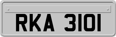 RKA3101