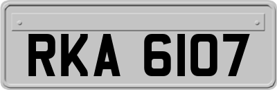 RKA6107