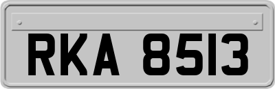 RKA8513