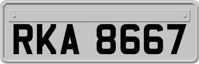 RKA8667