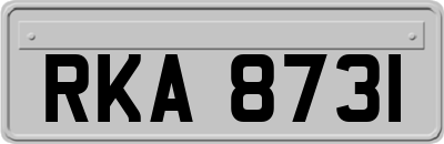 RKA8731