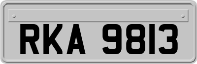 RKA9813