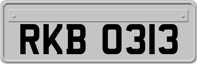 RKB0313