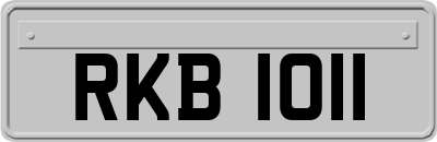 RKB1011