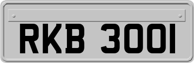 RKB3001