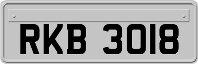 RKB3018