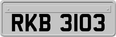 RKB3103