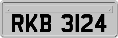 RKB3124