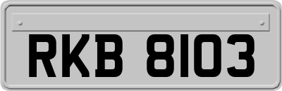 RKB8103