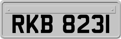 RKB8231