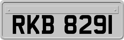 RKB8291