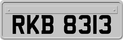 RKB8313